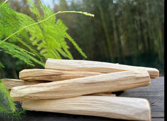 Palo Santos Sticks